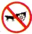 no oxcarts allowed